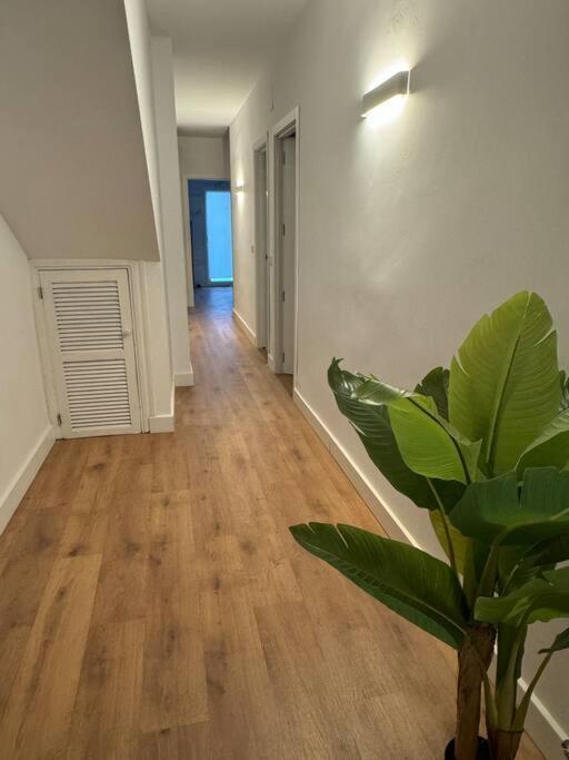 Apartamento Chicharro A Baeza Bagian luar foto